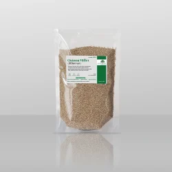Quinoa millet